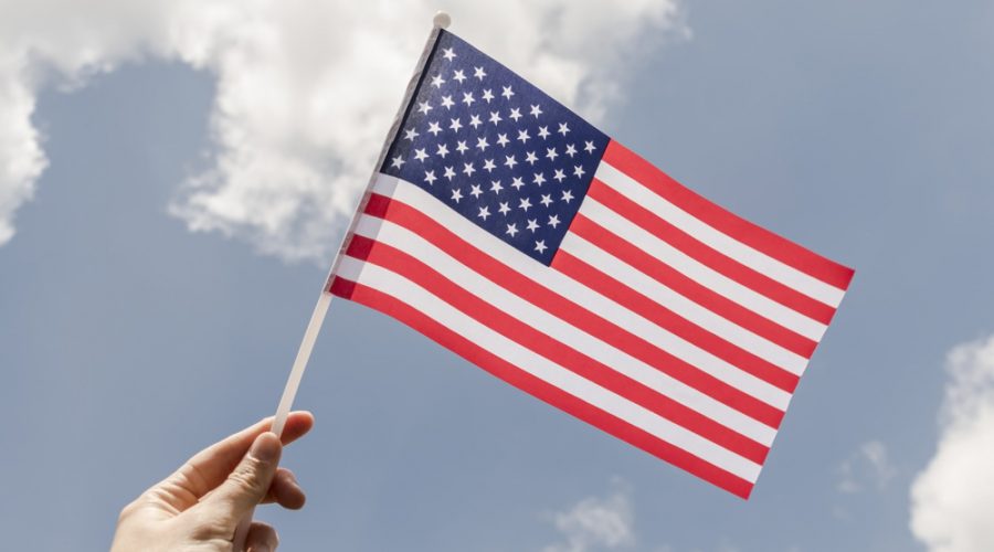 A hand holding a small American flag